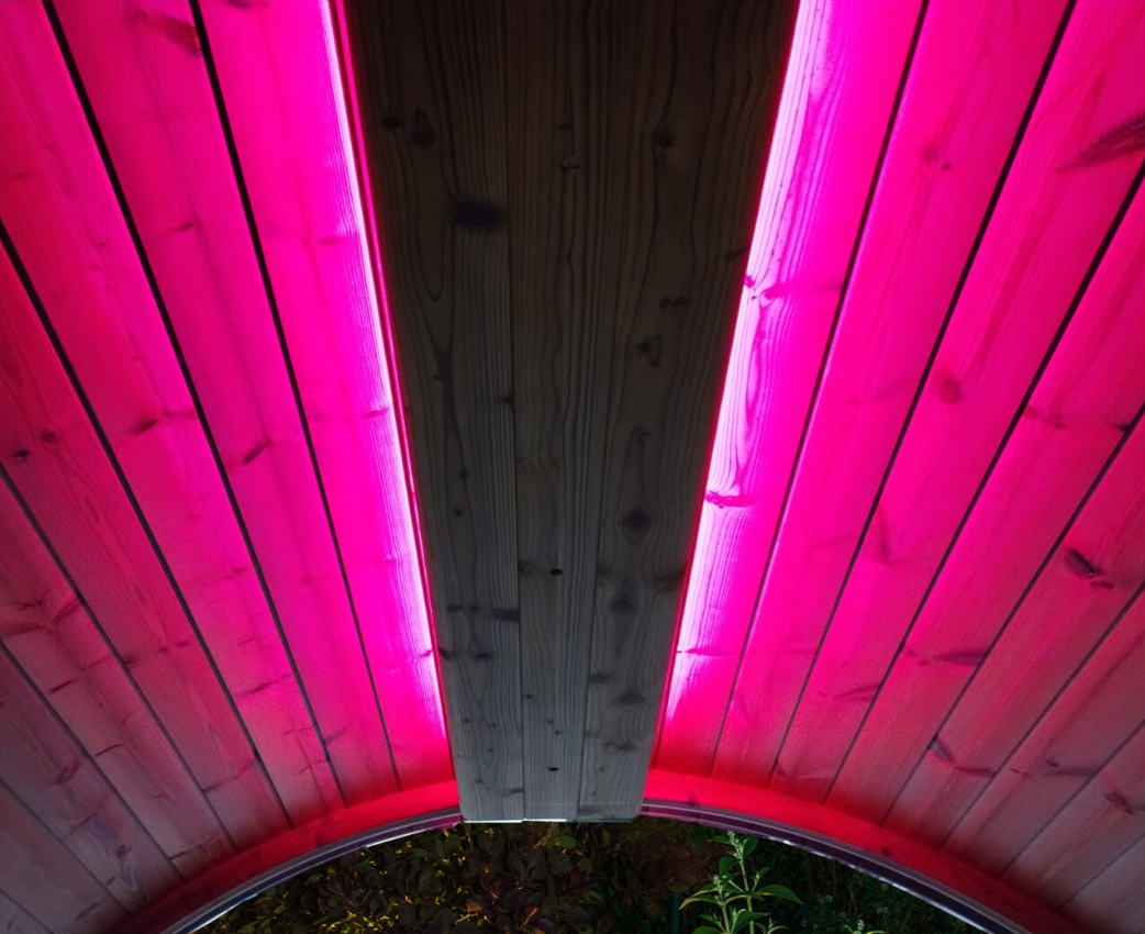 SaunaLife Emood Color Lighting for ERGO Sauna
